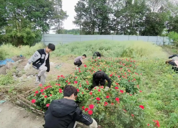 图片28.png 58e79d4771becd1c58eef6a46bef910e_bc1b1.p