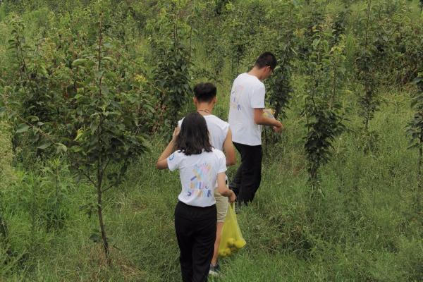 11.jpg 598f4e8ca25c72f92c84abdc882d3d94.jpg