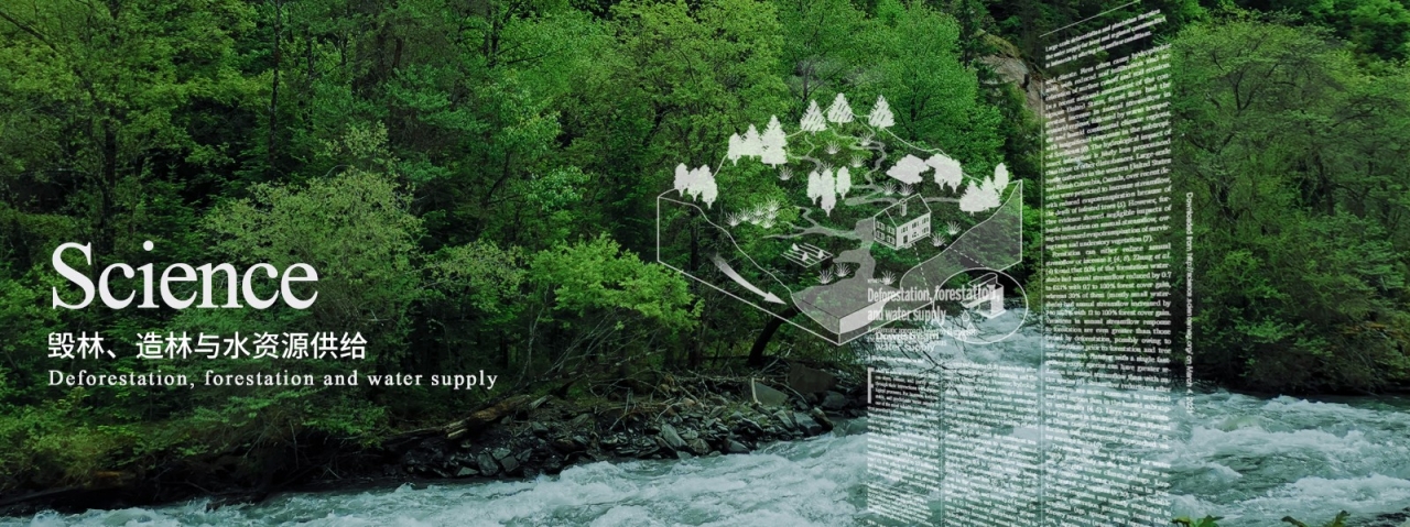 张明芳教授在Science正刊发文 引领学界系统认识森林与水的复杂关系