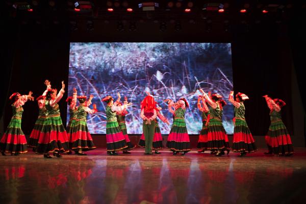 成都知青艺术团演绎不老传奇