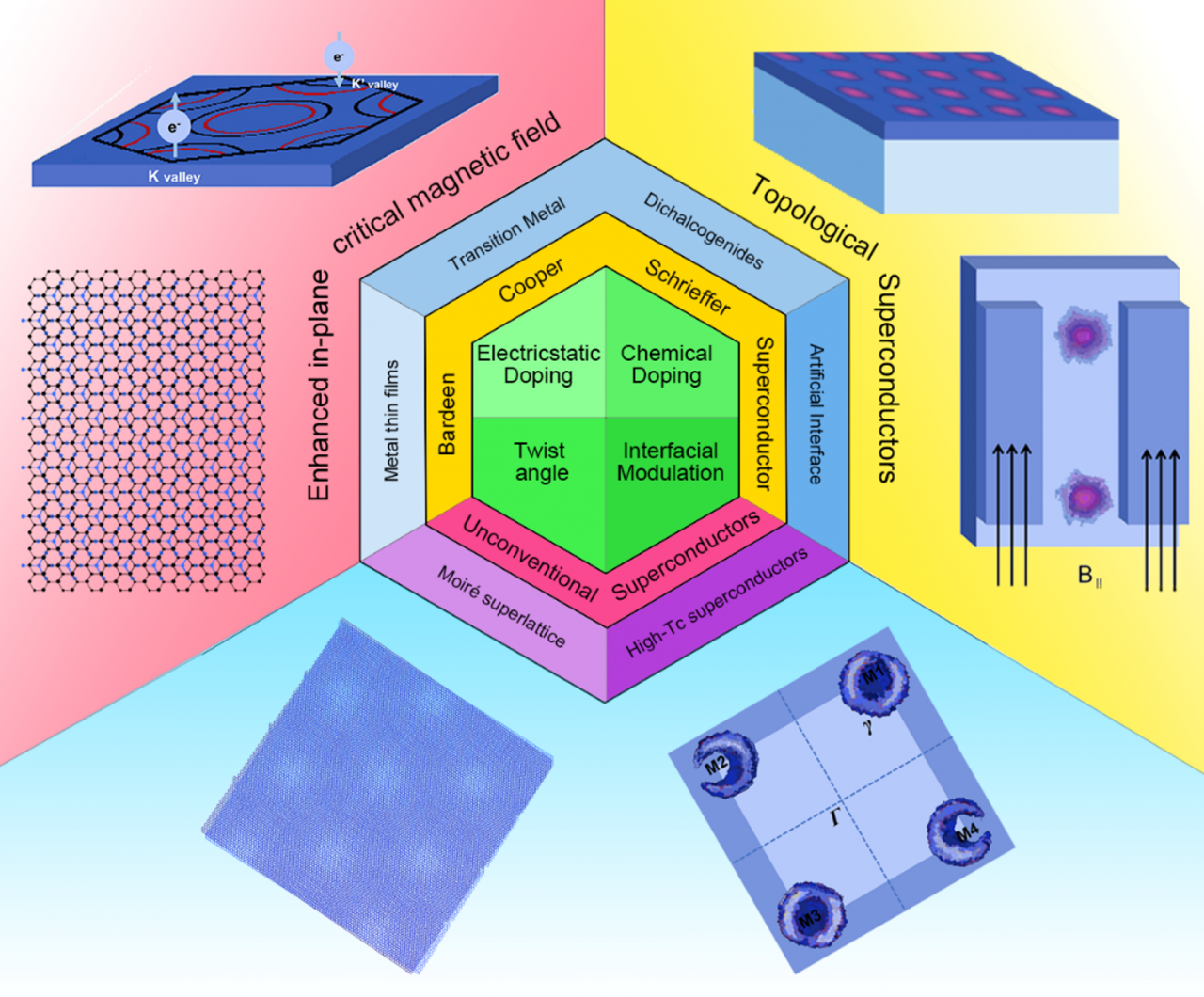 电子学院本科生在《先进材料》发表综述文章
