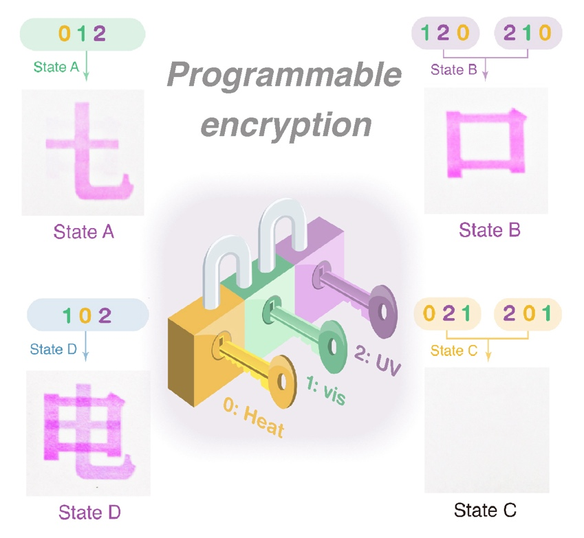 光电学院郑永豪/王东升课题组在Advanced Functional Materials上发表论文