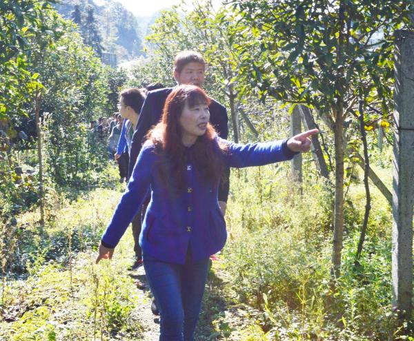 图4:戴钢书教授带领学生赴棋盘村开展社会实践.jpg 图4:戴钢书教授带领学生赴棋盘村开展社会实践.jpg