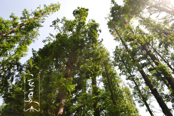 立夏.png 立夏.png