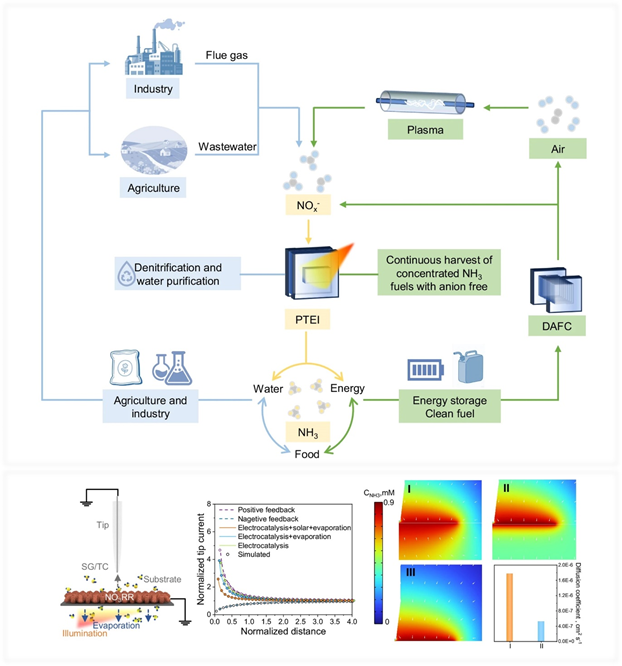 基础院晋兆宇研究员团队在Nature Communications发表多场耦合电化学界面研究新进展