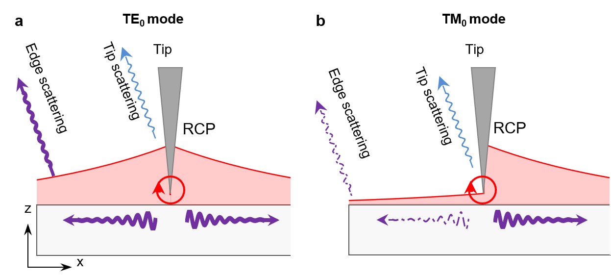 图片2.jpg 图片2.jpg