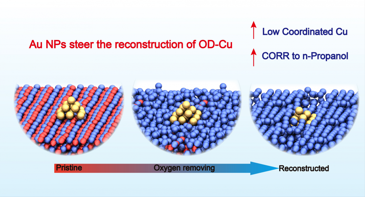 基础院崔春华教授团队在JACS发表研究论文