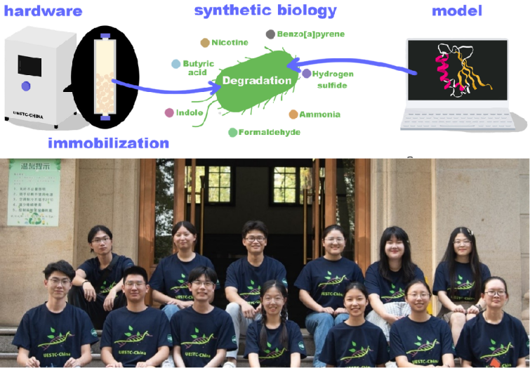 66bff63d082a9e1d83bef6be9b5a9b43_e260a.p