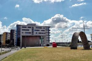 【成电人在海外】岳向真：“世界很大，任你盛开”