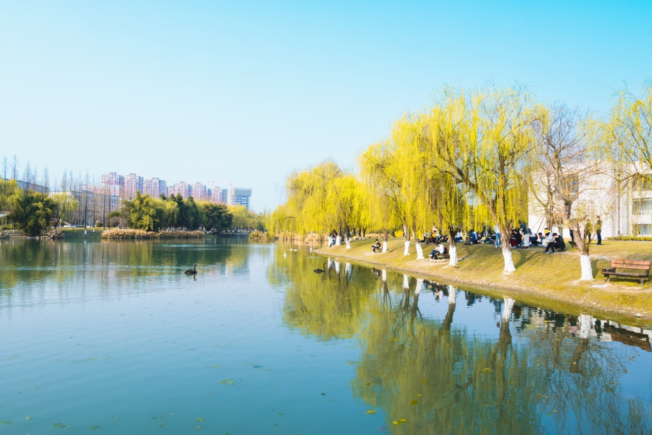 6905ab9eeb59d82f963298b04ca0e68f_9c185.j