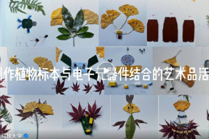 【发现成电】别不信！电子科大植物是懂“电”子浪漫的！