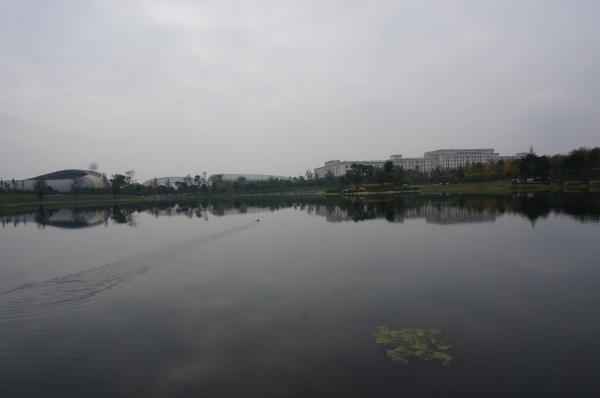 清水河校区东湖施工及绿化工程竣工