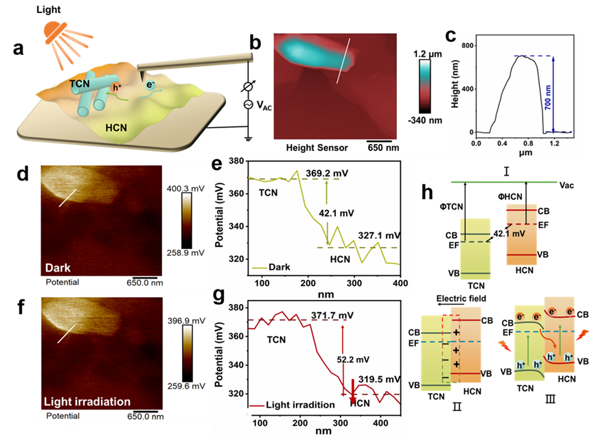 电子学院博士生在Nature Communications发表研究成果