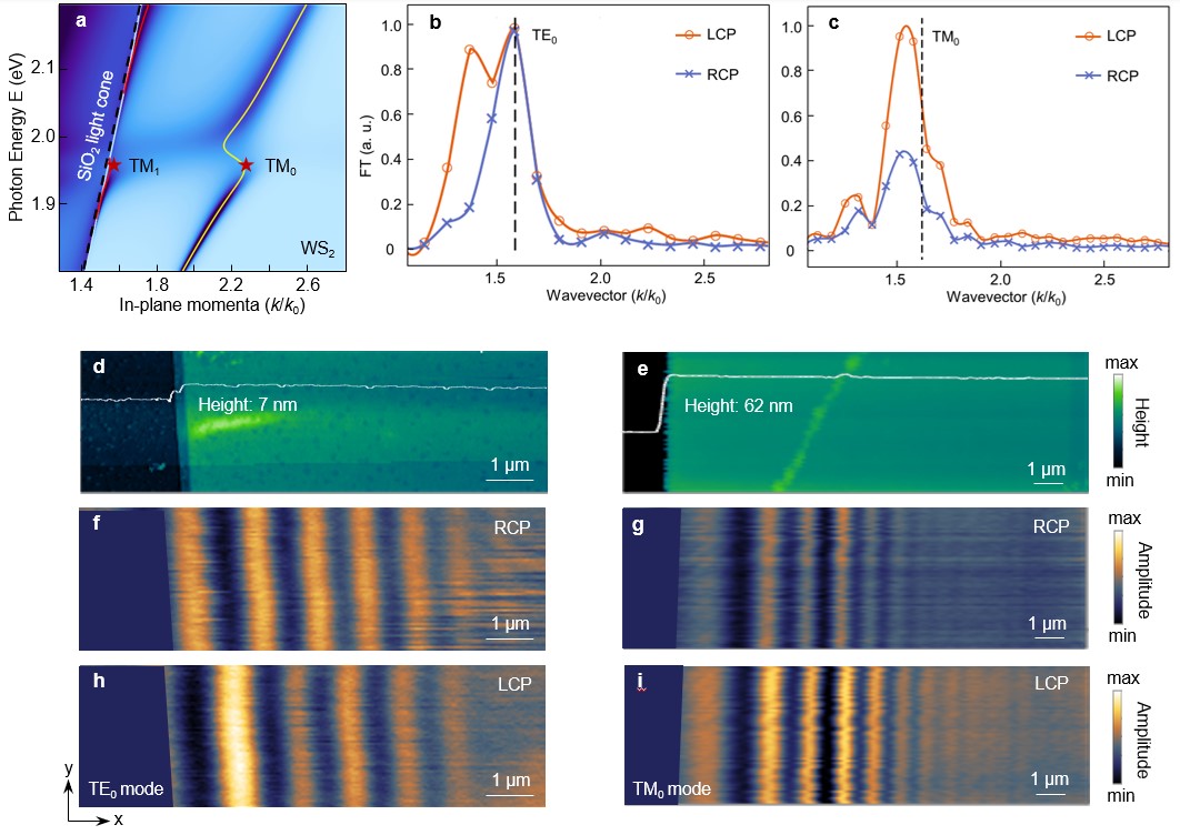 图片3.jpg 图片3.jpg