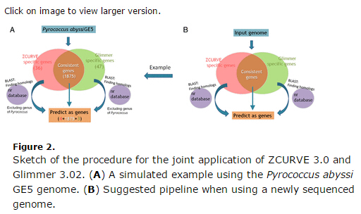 信息医学中心与大数据中心联合资助课题成果在生物信息学权威期刊发表