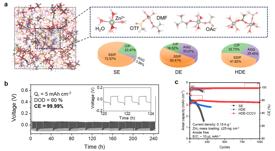 材料学院孙威教授团队在Nature Communications报道计算模拟指导的金属电池设计策略