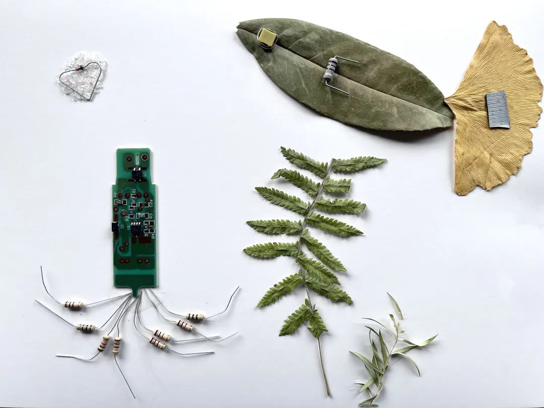 21.jpg 6fa60e2c4261ea406498311215df037b.jpg