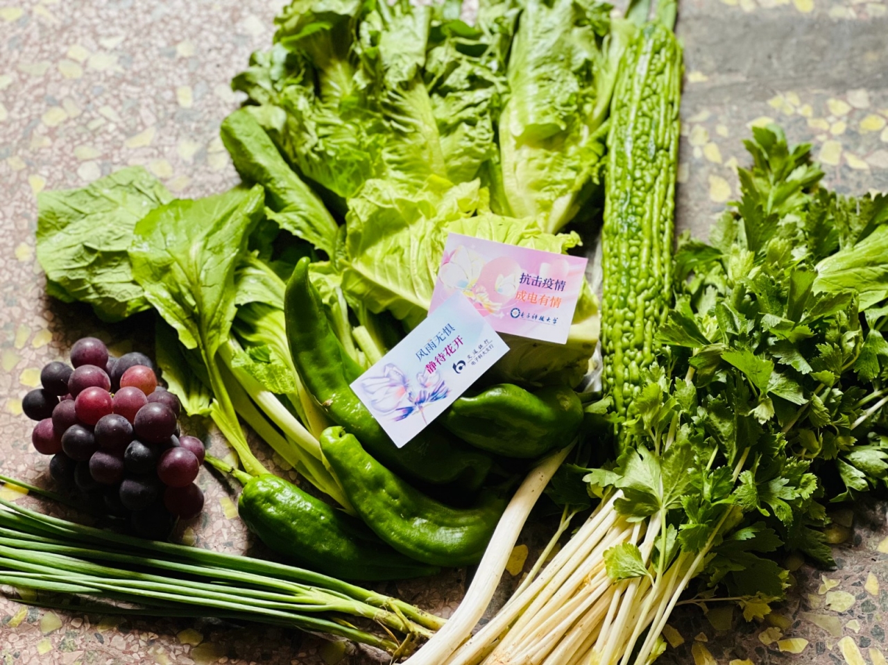 交通银行携手成电为封控区教职员工派送抗疫爱心蔬果包