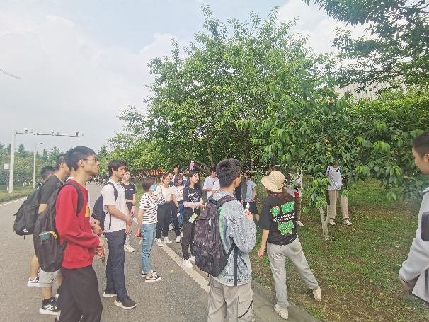 【党史学习教育】我为师生办实事丨计算机学院举行“爱绿护绿志愿活动”