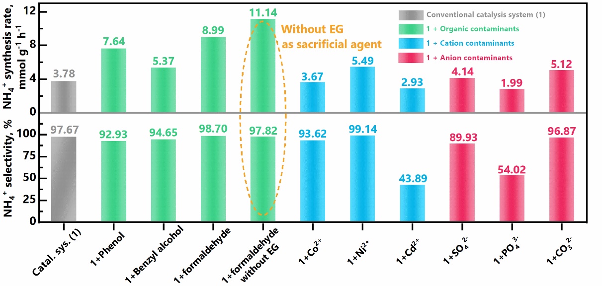 董帆-4.jpg 董帆-4.jpg