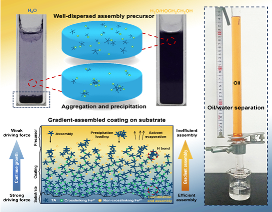 材料学院张亚刚教授团队指导本科生在高水平期刊报道金属-多酚超分子组装高水平研究成果