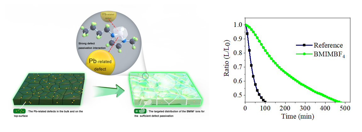 光电学院李世彬教授团队在ACS Energy Letters发表研究成果