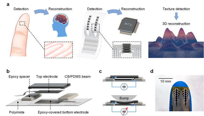 集成电路学院张晓升教授团队在触觉智能感知器件与集成微系统领域取得重要研究成果