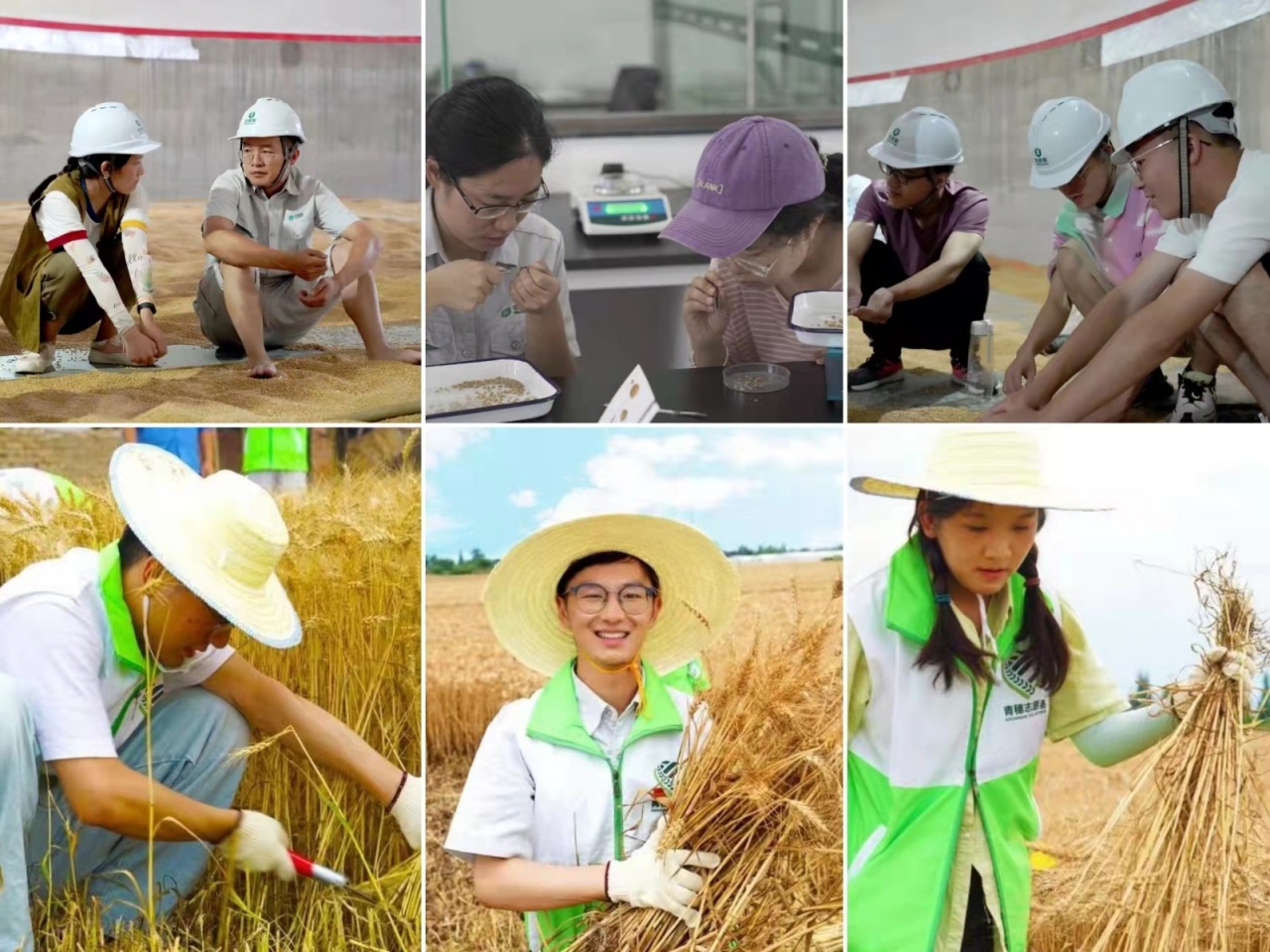 微信图片_20211220123645.jpg 微信图片_20211220123645.jpg