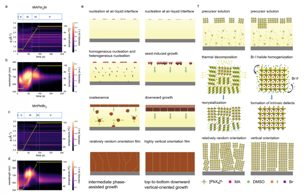 物理学院乔梁教授团队在EES上发表重要研究成果