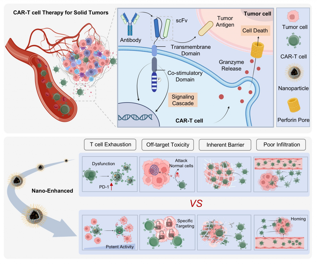 医学院张坤教授团队在国际权威期刊Coordination Chemistry Reviews上发表研究成果