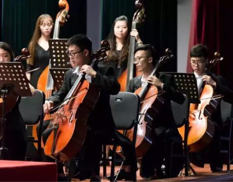 交响乐团演出照3.jpg 交响乐团演出照3.jpg