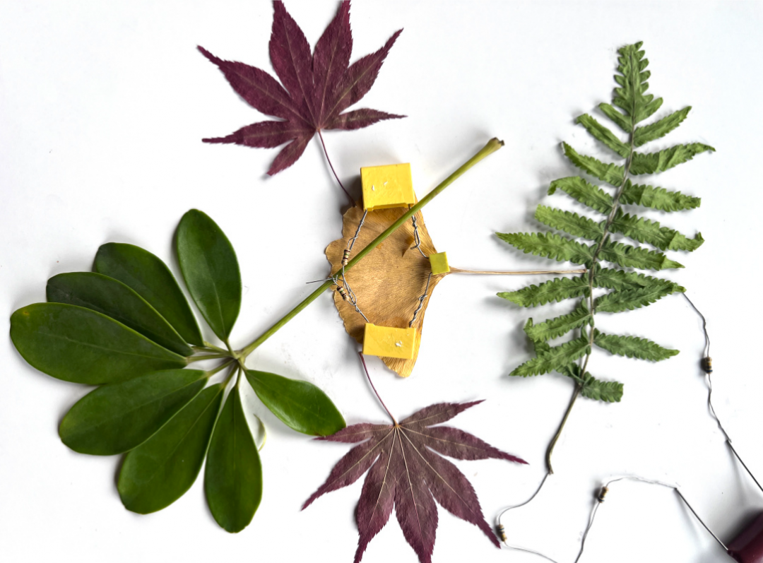 8.png 77699822403e7aba0dfd8fabf2444bf9.png