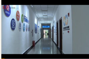 文汇报：这个平台很神奇！短短几分钟就能算出网络影响力