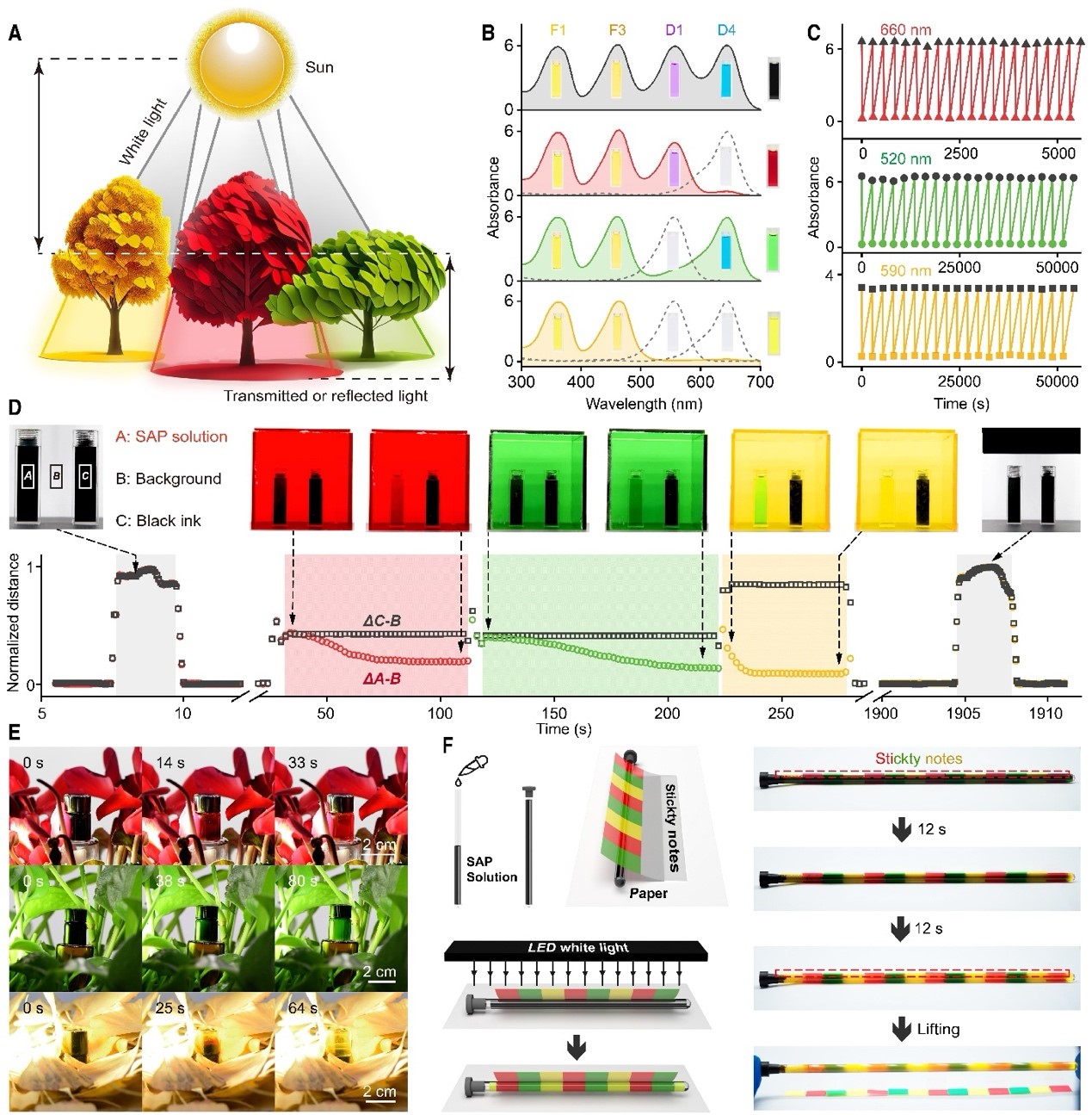 光电学院郑永豪/王东升团队在Science Advances发表自适应光致变色最新研究成果