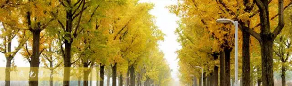 IMG_6590.PNG IMG_6590.PNG