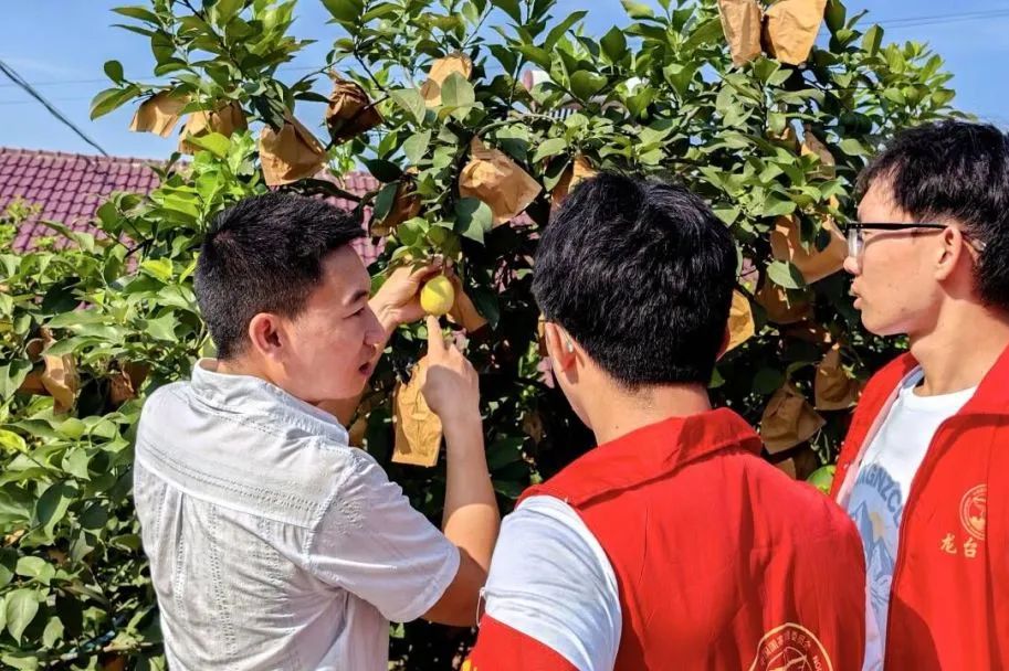 mmexport1692321236371.jpg 7a9cf3260902db86fa925cf6c7217208_1d08f.j