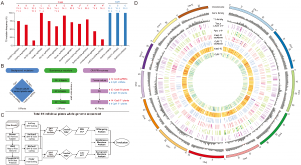 生命学院张勇教授团队在《Genome Biology》发表论文