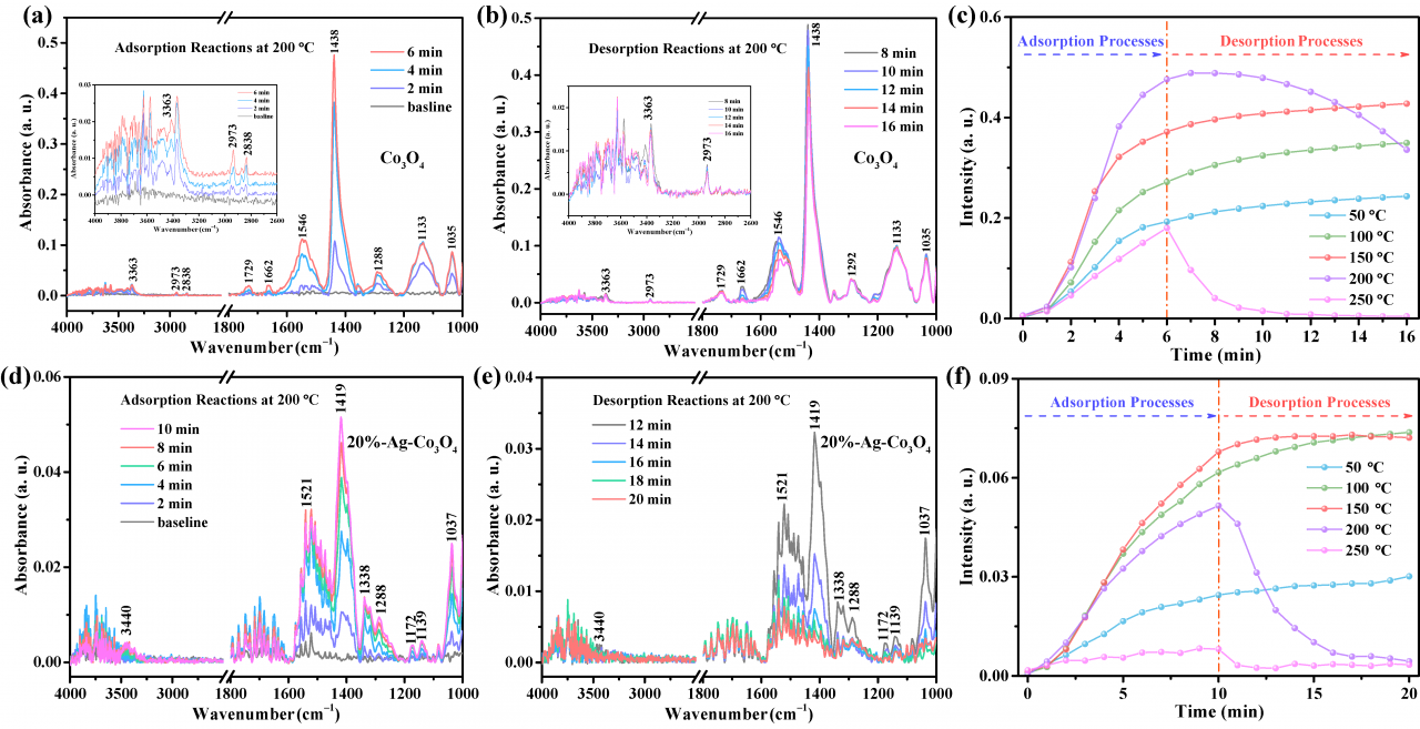 董帆3.png 董帆3.png