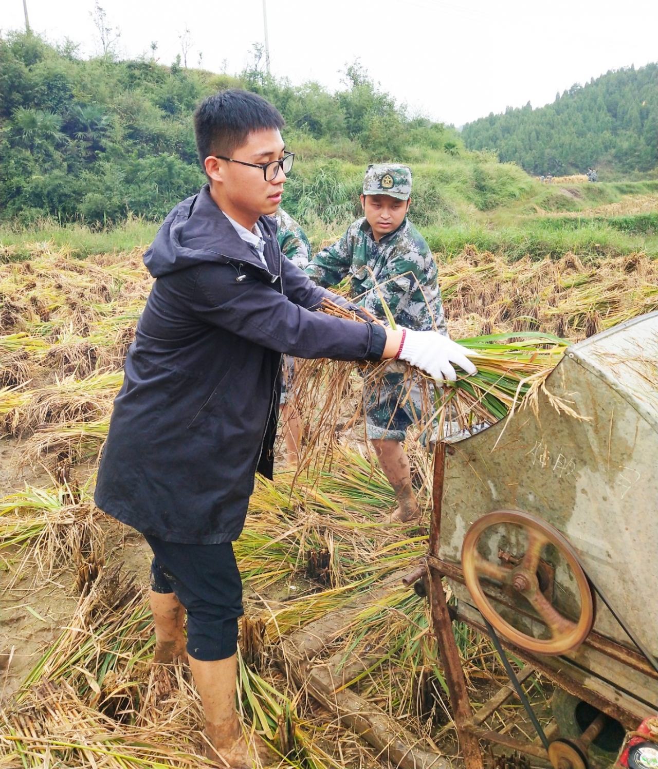 09-抢收稻谷.jpg 09-抢收稻谷.jpg