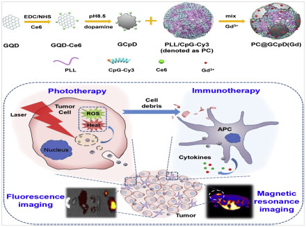 生命学院刘贻尧教授团队在《Biomaterials》发表论文