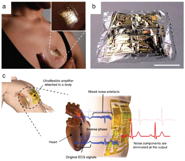基础院王志明教授团队在国际著名期刊Chemical Society Reviews发表综述论文