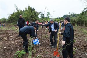 我校干部师生代表赴龙泉山城市森林公园义务植树