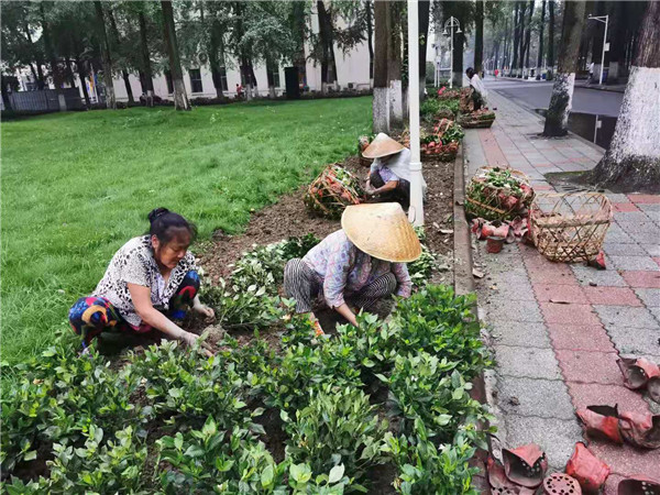 1566809788048091950.jpg 1566809788048091950.jpg