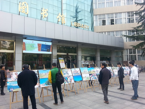 沙河校区第三届银杏节开幕