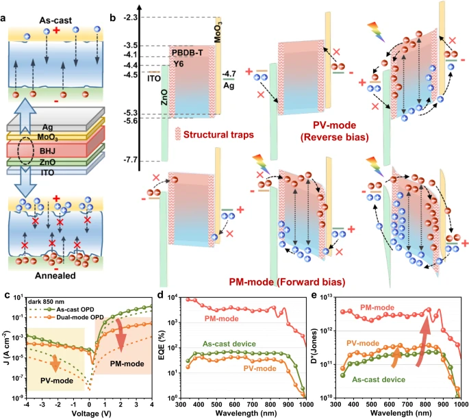 蒋亚东教授团队在《自然·通讯》发表研究论文