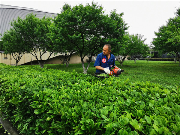 1557217965947064245.jpg 绿化技能组1.jpg