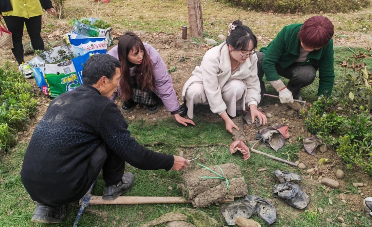 图片8.jpg 图片8.jpg