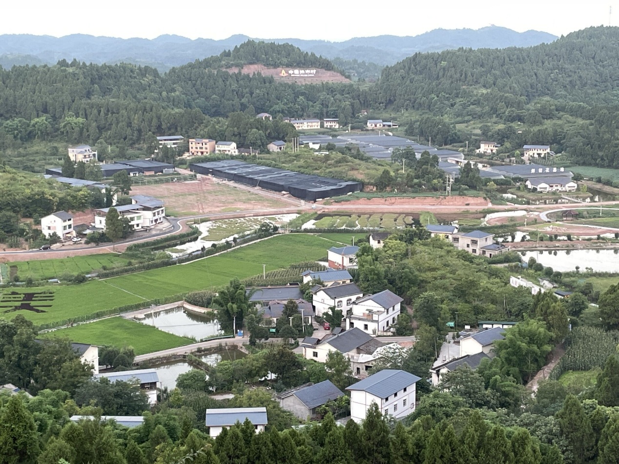 图片5.png 图片5.png