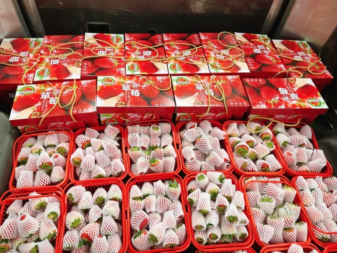 mmexport1649935544636.jpg mmexport1649935544636.jpg