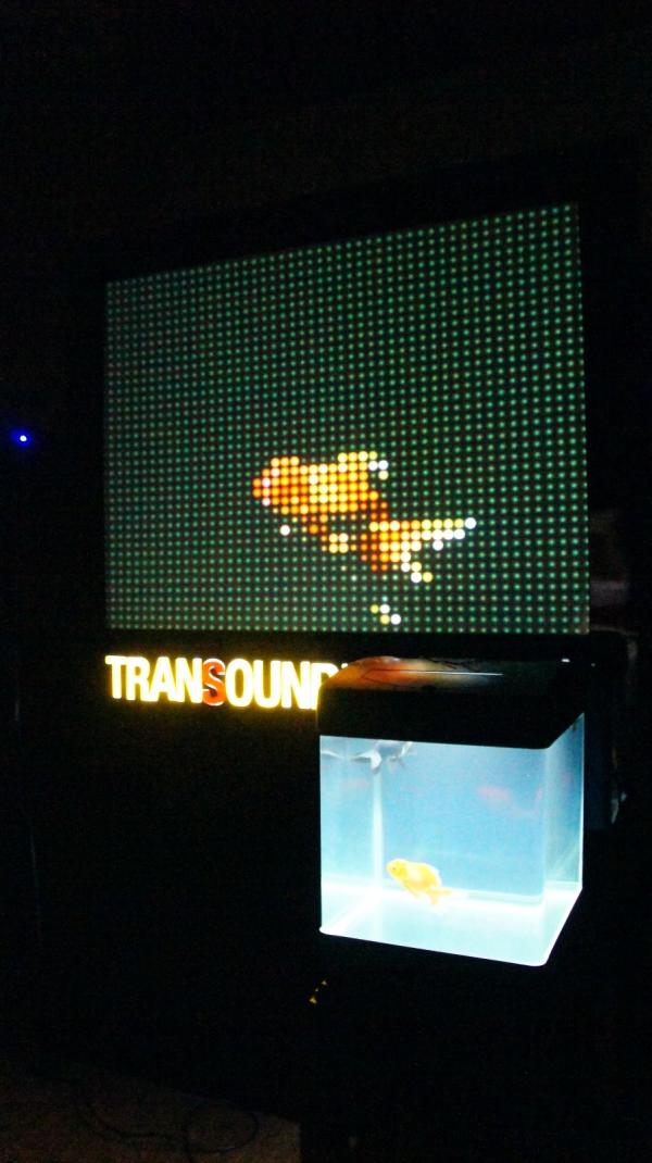 白小墨作品-鱼说-静态01.JPG 白小墨作品-鱼说-静态01.JPG